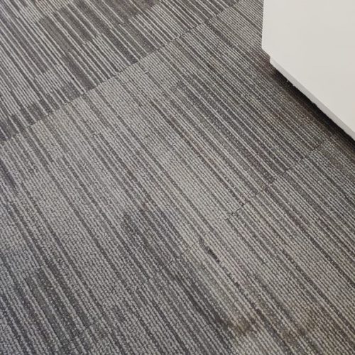 組別一：洗地毯前​